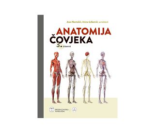 ANATOMIJA ČOVJEKA