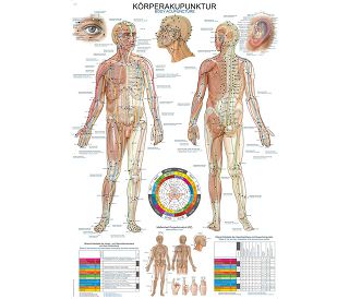 ANATOMSKI POSTER – AKUPUNKTURNE TOČKE NA TIJELU