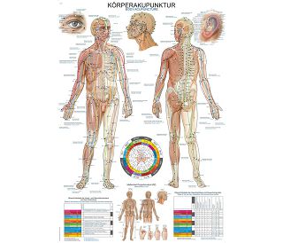 ANATOMSKI POSTER – AKUPUNKTURNE TOČKE NA TIJELU