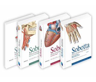 atlas-anatomije-covjeka-i-ii-iii-svezak-tablice-johannes-sob-9828-9789531917728_7103.jpg