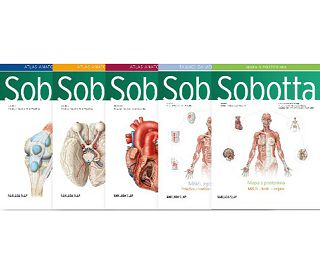 atlas-anatomije-covjeka-i-ii-iii-svezak-tablice-mapa-kutija--57050-9789531919760_11554.jpg