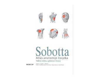 atlas-anatomije-covjeka-i-ii-iii-svezak-tablice-sobotta-77146-9789531917728_1.jpg