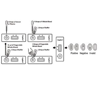 helicobacter-pylori-test-za-profesionalnu-upotrebu-40-kom-95398-24526.jpg