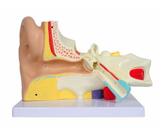 MODEL UHA, 3 DIJELA - UVEĆAN 3×