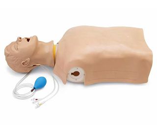 napredni-model-glave-vrata-i-torza-airway-larry-za-vjezbe-in-30596-lt-r10191_9738.jpg