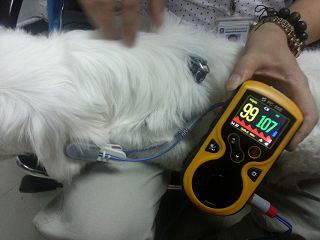 oxy-100-veterinarski-pulsni-oksimetar--34343_2.jpg