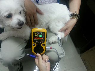 oxy-100-veterinarski-pulsni-oksimetar--34343_3.jpg