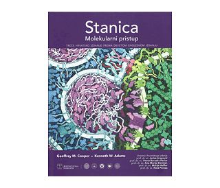 STANICA MOLEKULARNI PRISTUP, Jurica Arapović, Vesna Boraska Perica, Ana - Marija Domijan, Marija Heffer, Nina Pereza
