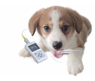 veterinarski-pulsni-oksimetar-oxy-50-6252-80800_5281.jpg