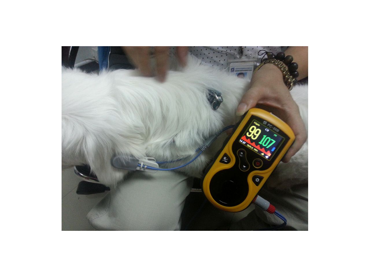 oxy-100-veterinarski-pulsni-oksimetar--34343_2.jpg