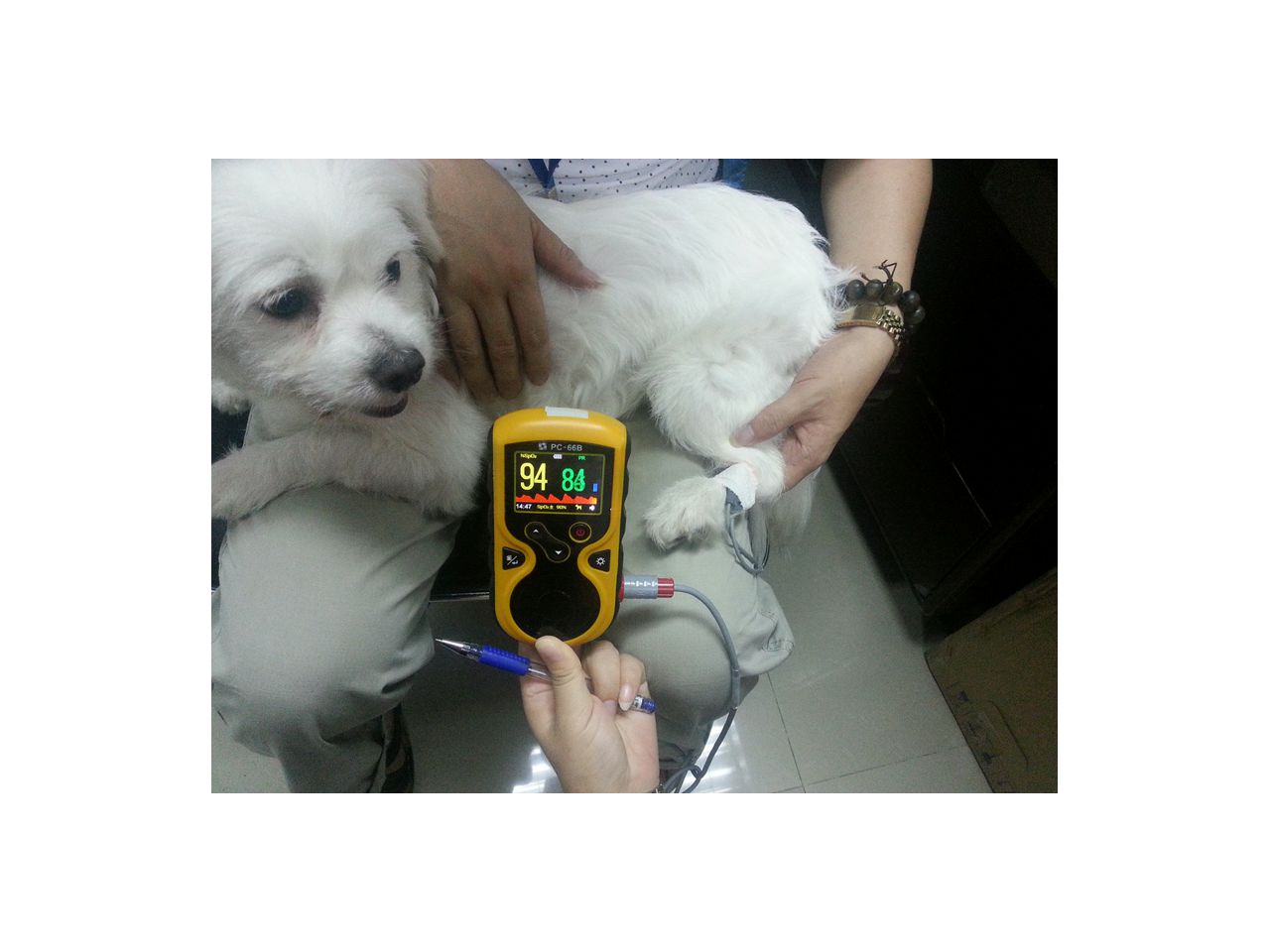 oxy-100-veterinarski-pulsni-oksimetar--34343_3.jpg
